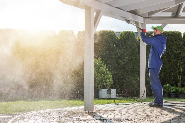 Best Driveway Pressure Washing  in Lakeview, WA