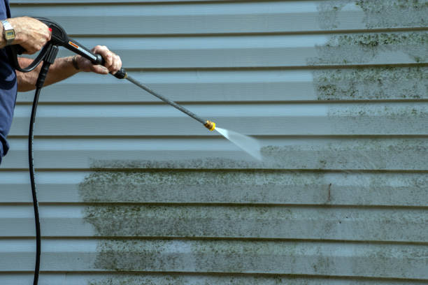 Best Sidewalk and Walkway Cleaning  in Lakeview, WA